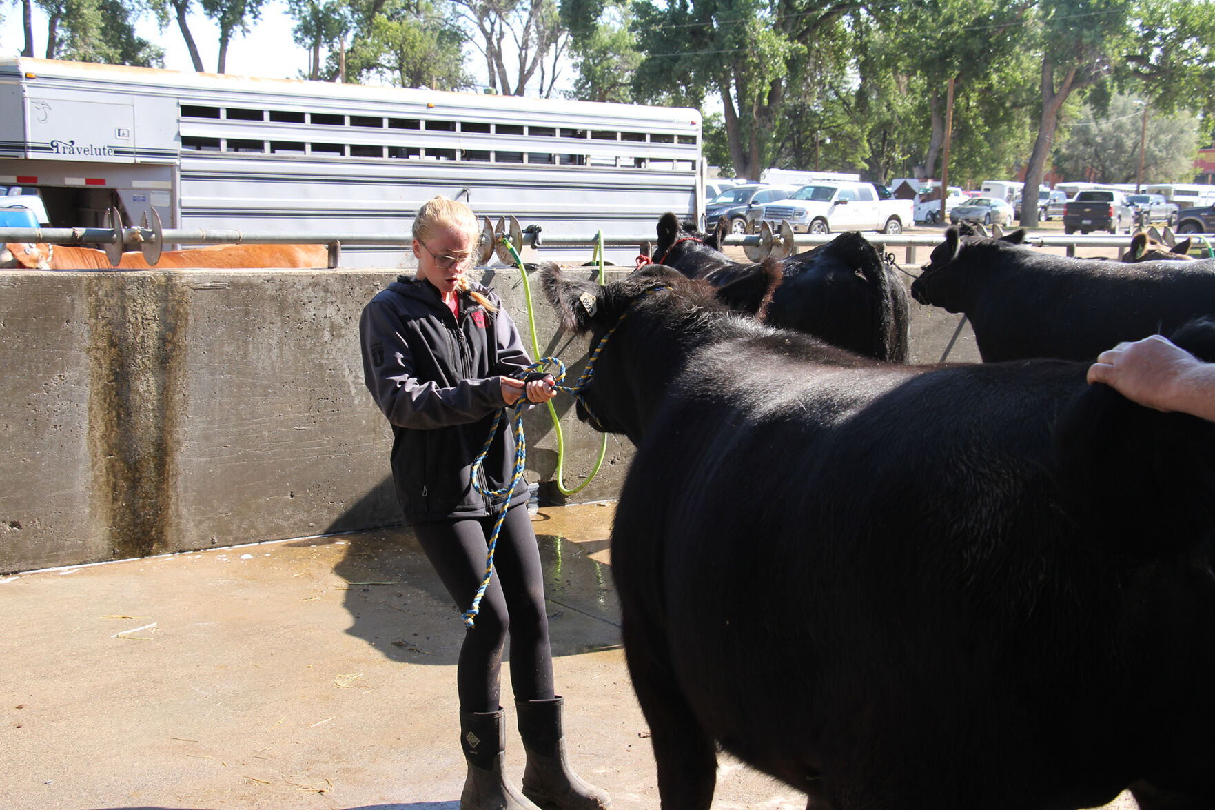 PHOTOS: More from the Scotts Bluff County Fair 2020